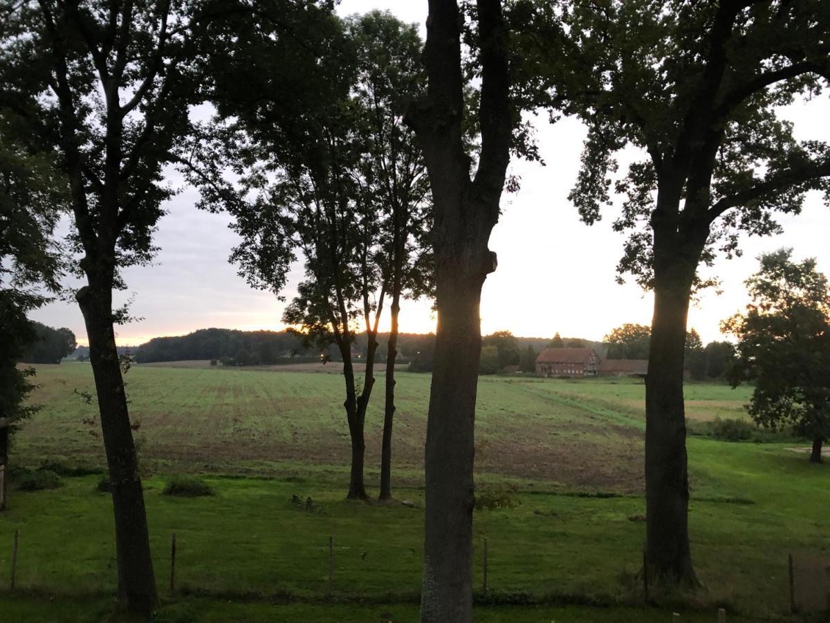 Gaestezimmer Vermietung Reinstorf Reinstorf  エクステリア 写真